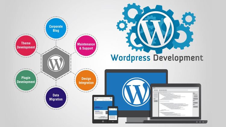 WordPress Developers